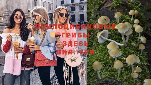 бошки Волоколамск