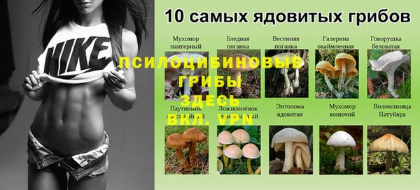 ALPHA-PVP Бородино