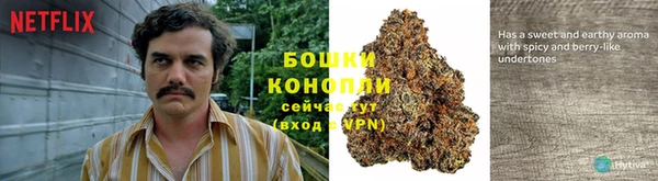 МДПВ Волосово
